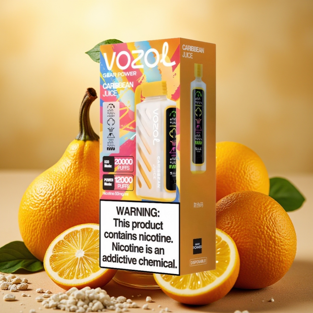 VOZOL Gear Power 20000 Pufova SiLC Tech Dual Mesh Coil Karipska Juha