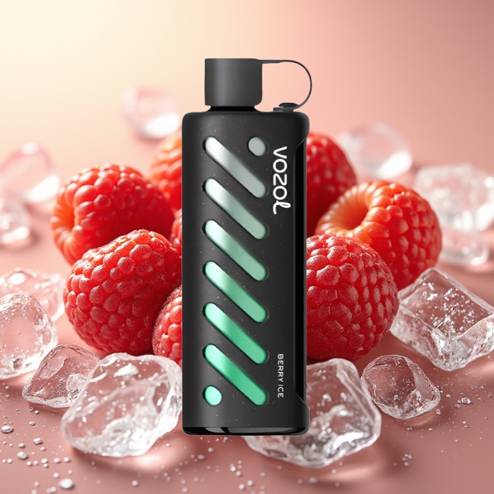 VOZOL Gear Shisha 25000 Puffs 1000mAh Dual Mesh Jagoda Led