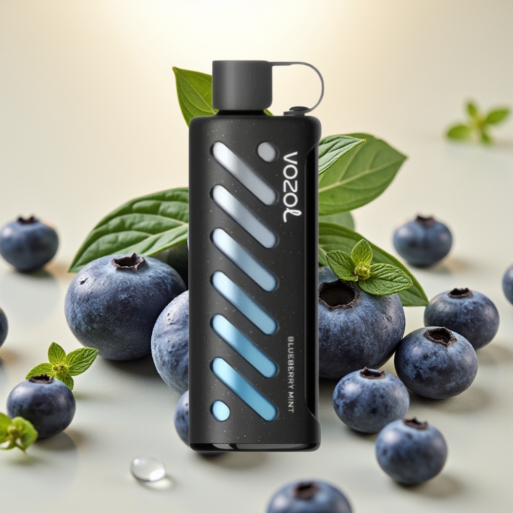 VOZOL Gear Shisha 25000 Puffs Dual Mesh 1000mAh Borovnica Metvica