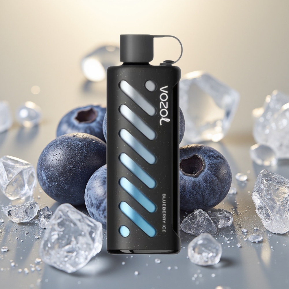 VOZOL Gear Shisha 25000 Puffs SiLC Tech Dual Mesh 1000mAh Borovnica Led