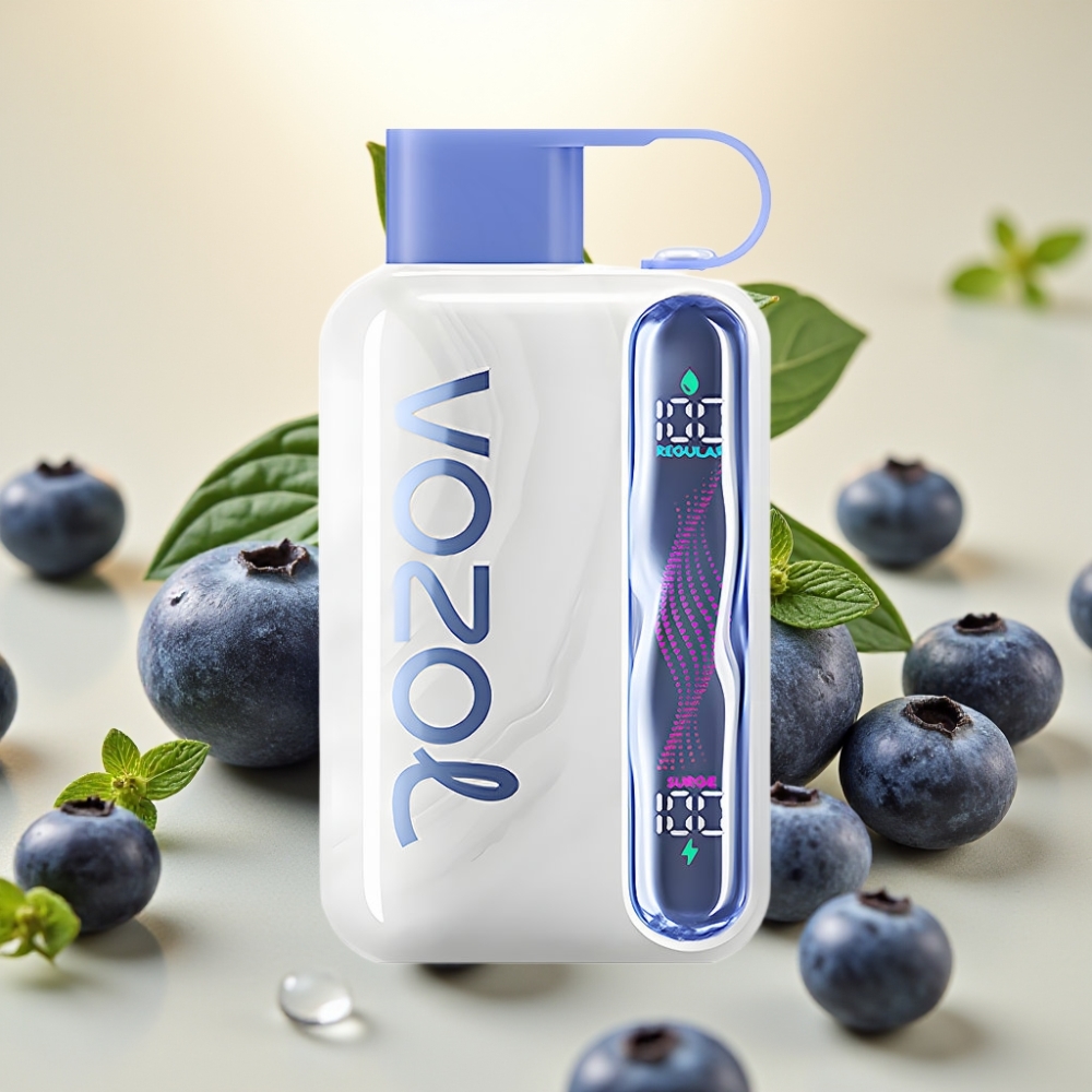 VOZOL STAR 40000 Pufova 1000mAh Type-C Borovnica Metvica