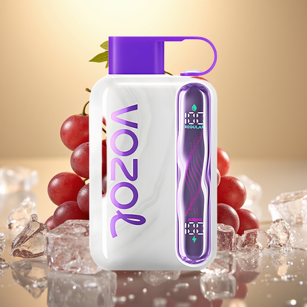 VOZOL STAR 40000 Pufova 1000mAh Type-C Grožđe Led