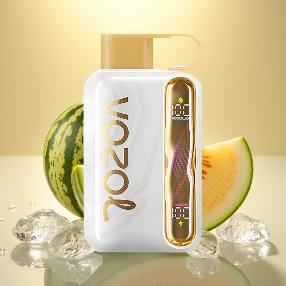 VOZOL STAR 40000 Pufova Disposable Vape 1000mAh Type-C Dinja Led