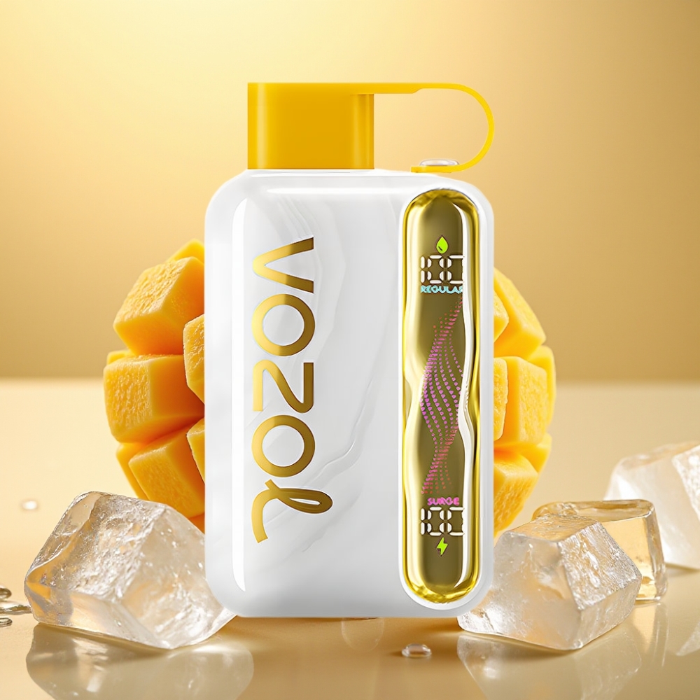 VOZOL STAR 40000 Pufova Disposable Vape 1000mAh Type-C Mango Led