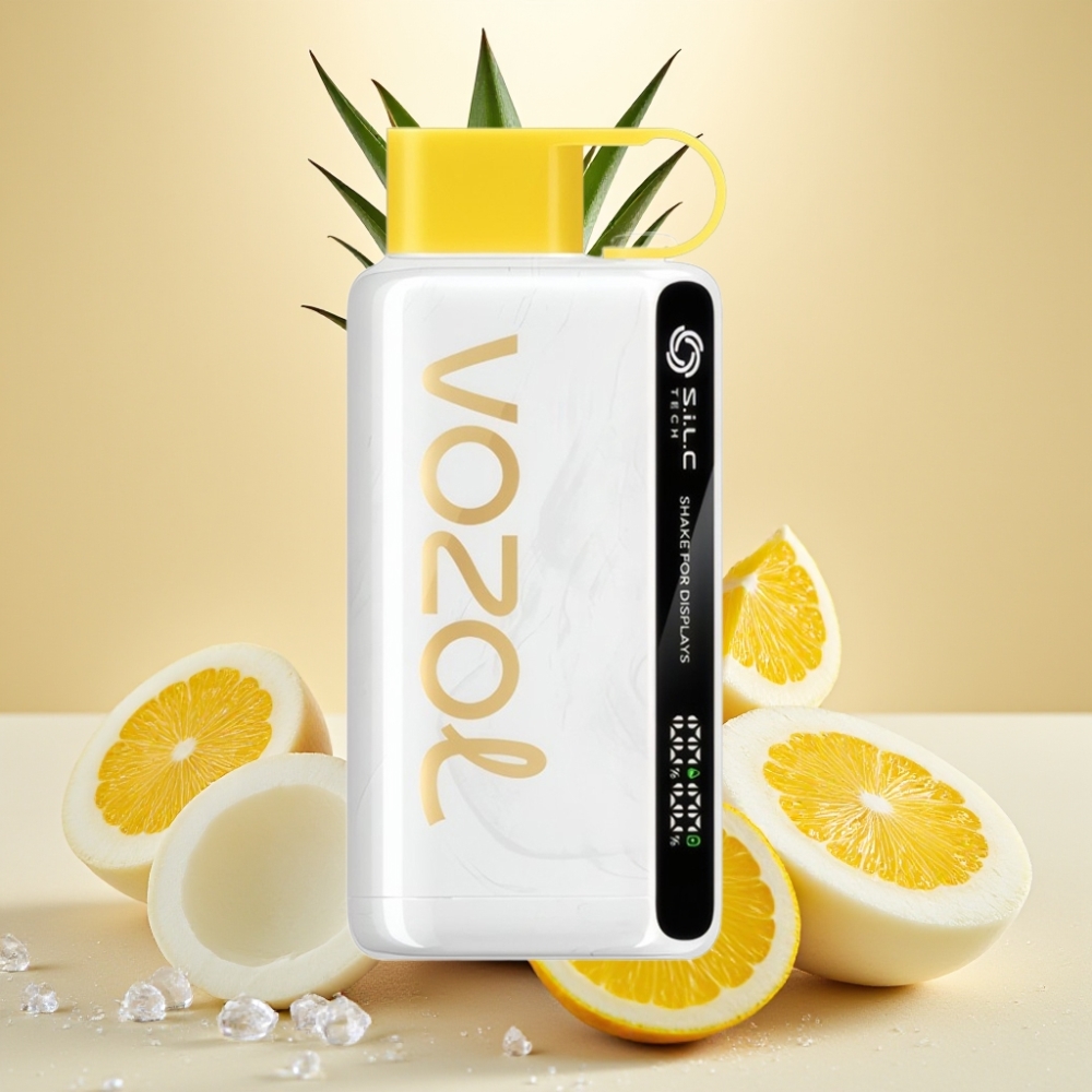 VOZOL STAR 9000/12000 Brza punjenja 30 Reciklirana plastika 650mAh Ananas Kokos Led