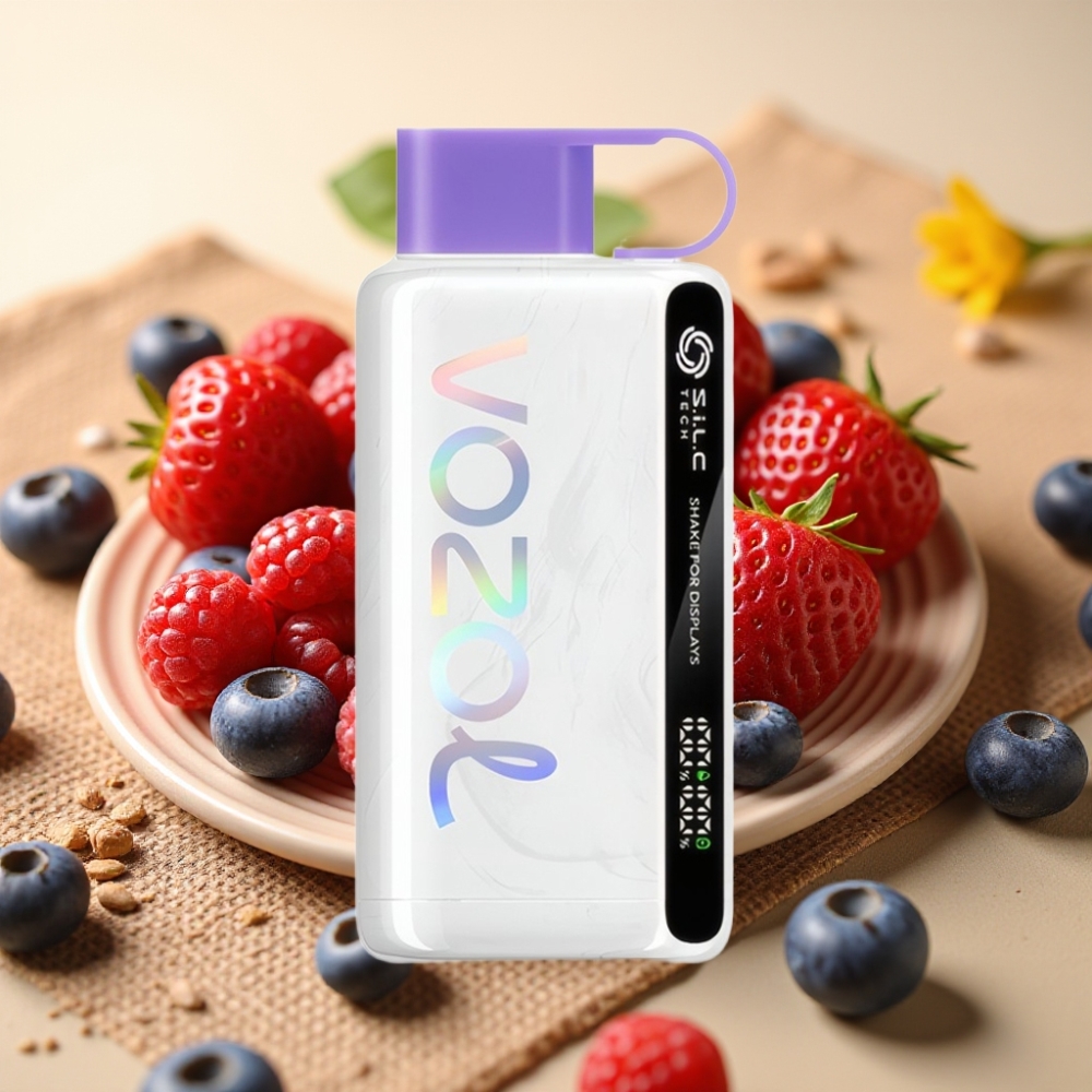 VOZOL STAR 9000/12000 Miješane Bobice SiLC TECH 650mAh 30 Brže Punjenje