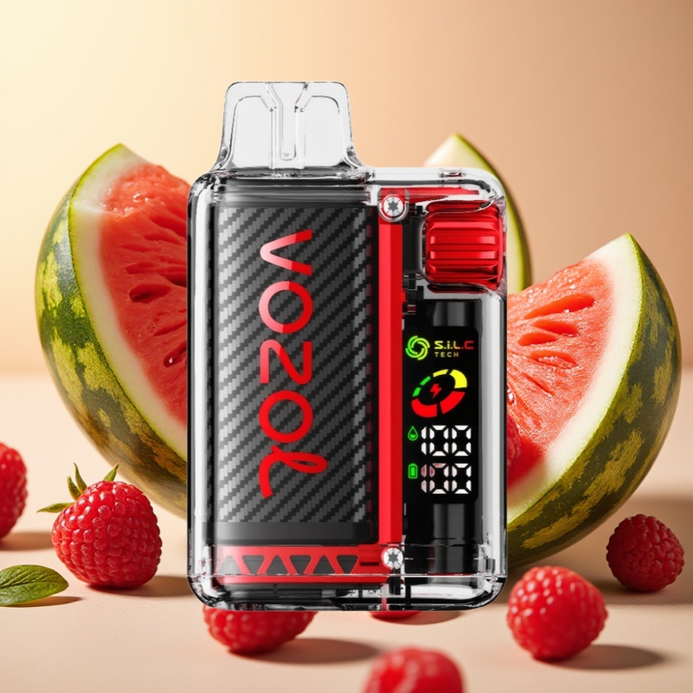 VOZOL Vista 20000 Puffs Rechargeable 650mAh 2 OLED Dual Mesh Raspberry Lubanica