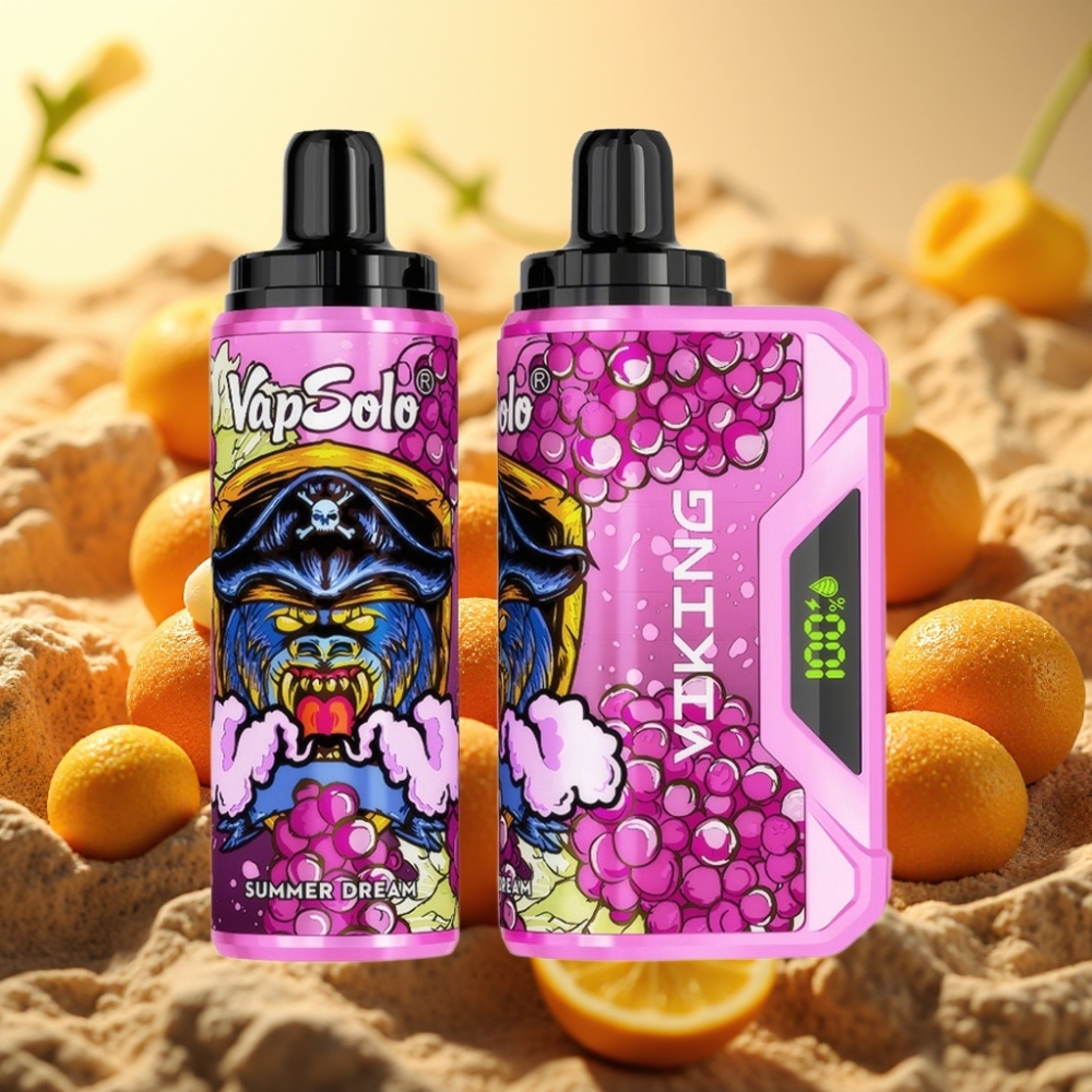 VapSolo VIKING 12000 Puffs 22ml Ljetni San Tip-C LED