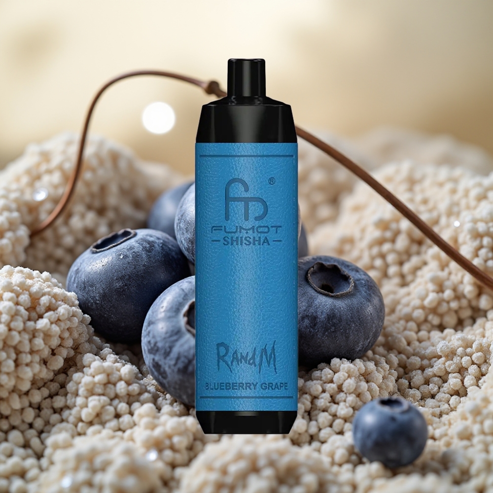 RandM Fumot Shisha 10000 Puffs 18ml LED 850mAh 0.6ohm Type-C 0.5% Aroma: Borovnica Grožđe