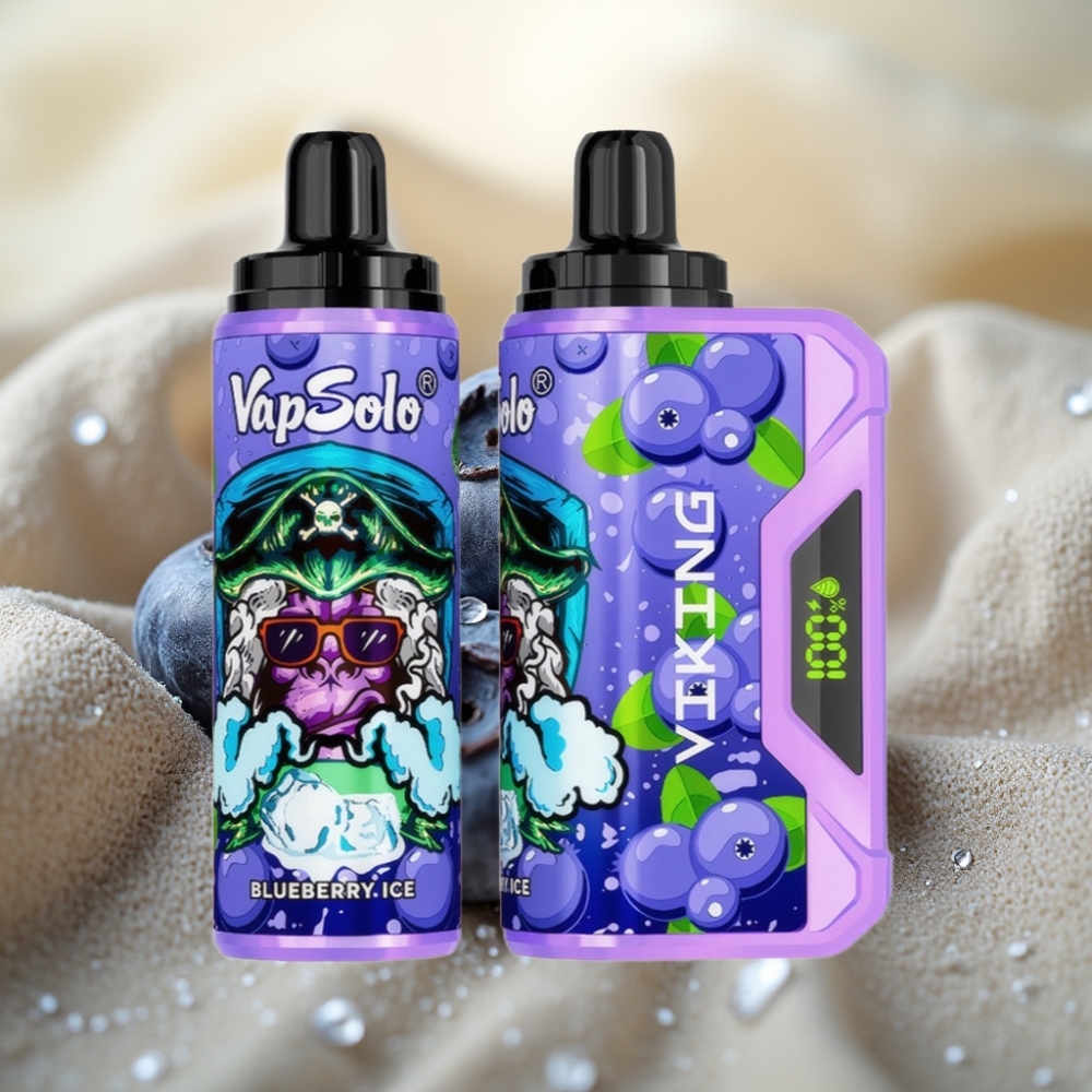 VapSolo VIKING 12000 Pufova Disposable Vape 22ml Borovnica Type-C LED