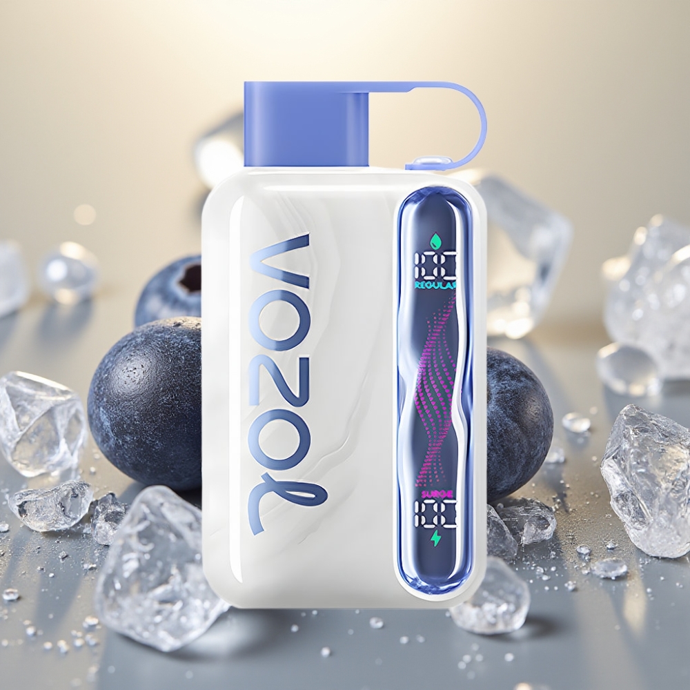 VOZOL STAR 40000 Puffs 1000mAh Type-C Borovnica Led