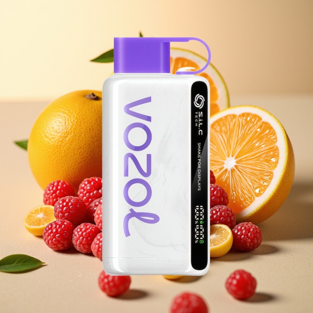 VOZOL STAR 9000/12000 Pokretna Zaslon S.i.L.C TECH Brzo Punjenje Brusnica Mango Grejp 650mAh