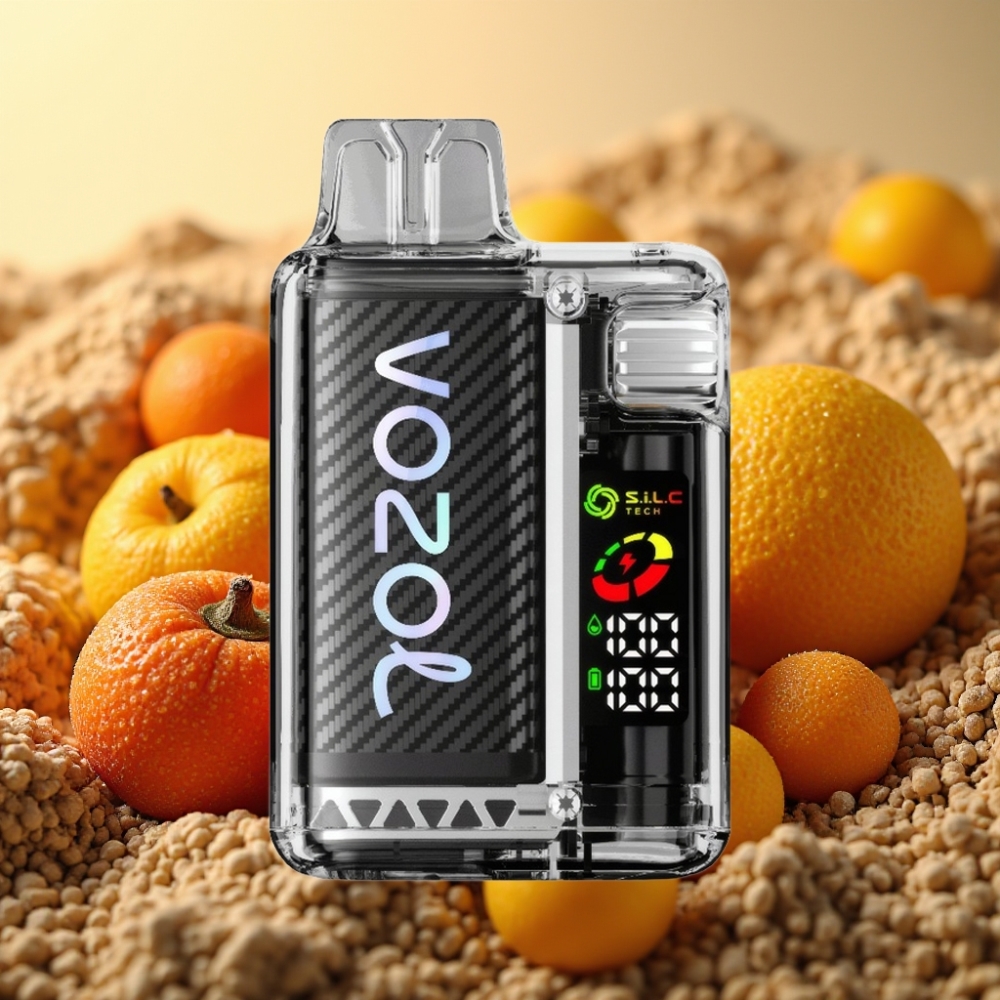 VOZOL Vista 20000 Puffs 650mAh 2% OLED S.i.L.C Dual Mesh MCU PCR MTL Rechargeable Lavaoganj